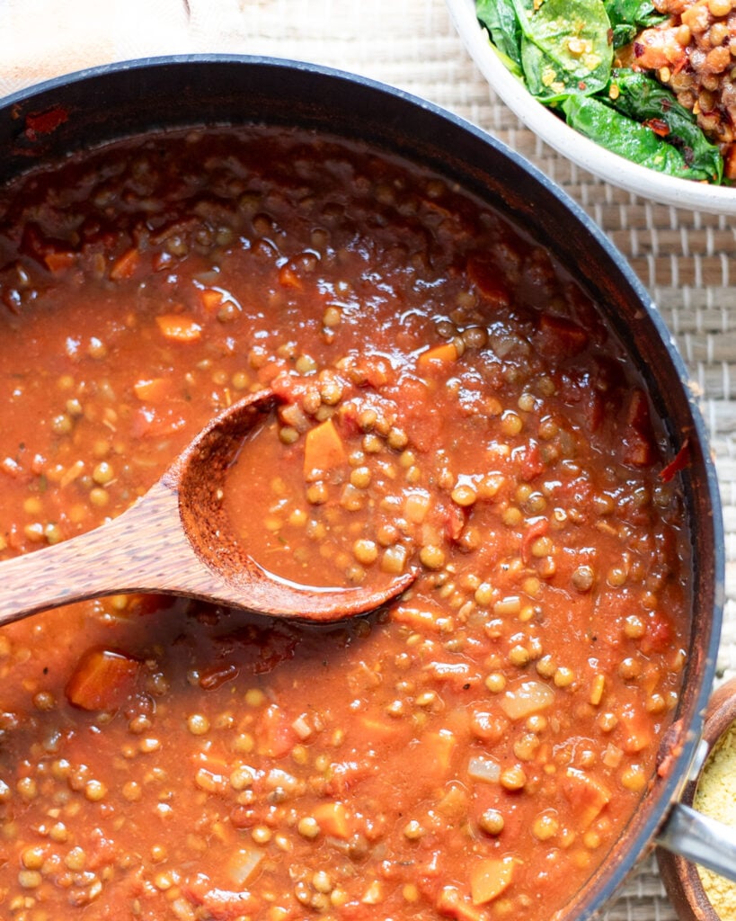 overhead view of a pot of French green lentil bolognese with a serving spoon in the middle.