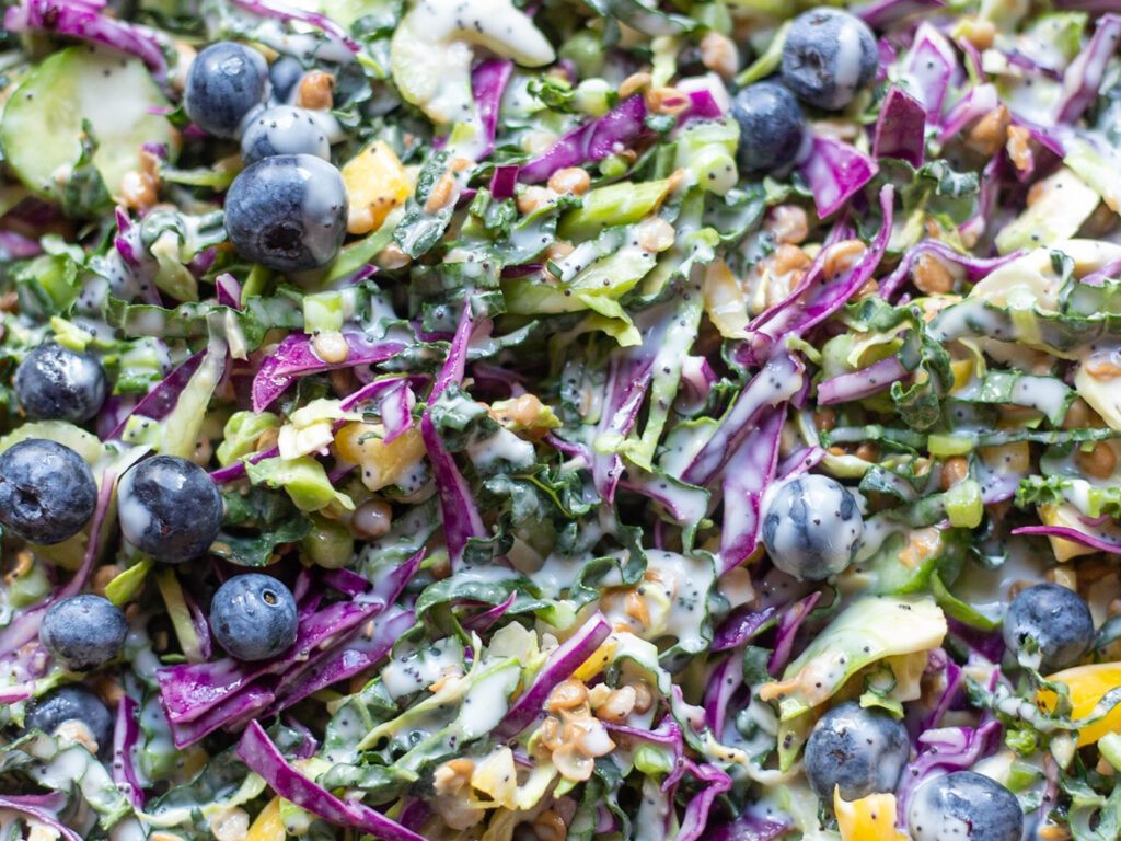 image closeup Blueberry and Lemon Poppyseed Salad