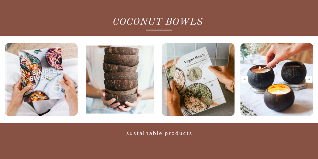 image coconut bowls banner
