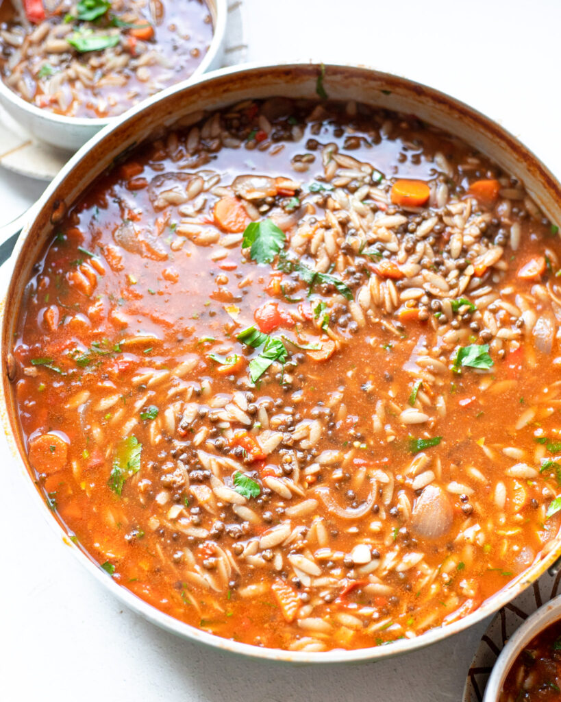 lentil and orzo stew