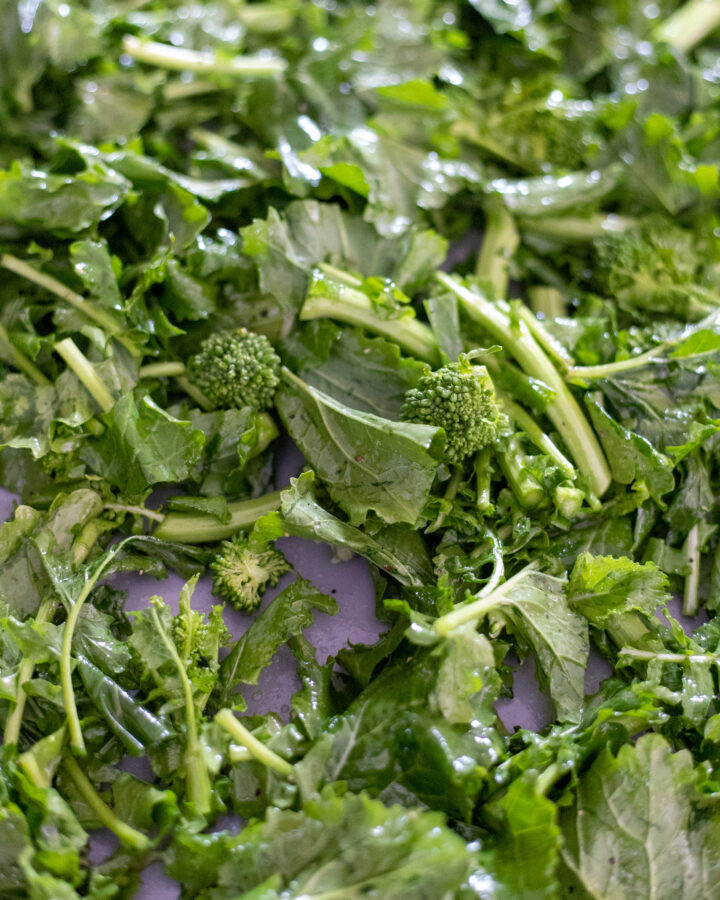 image broccoli rabe