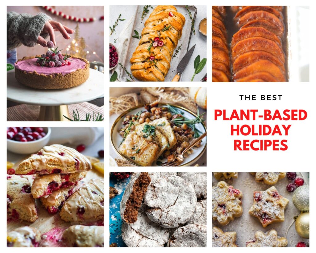 plant based holiday recipes