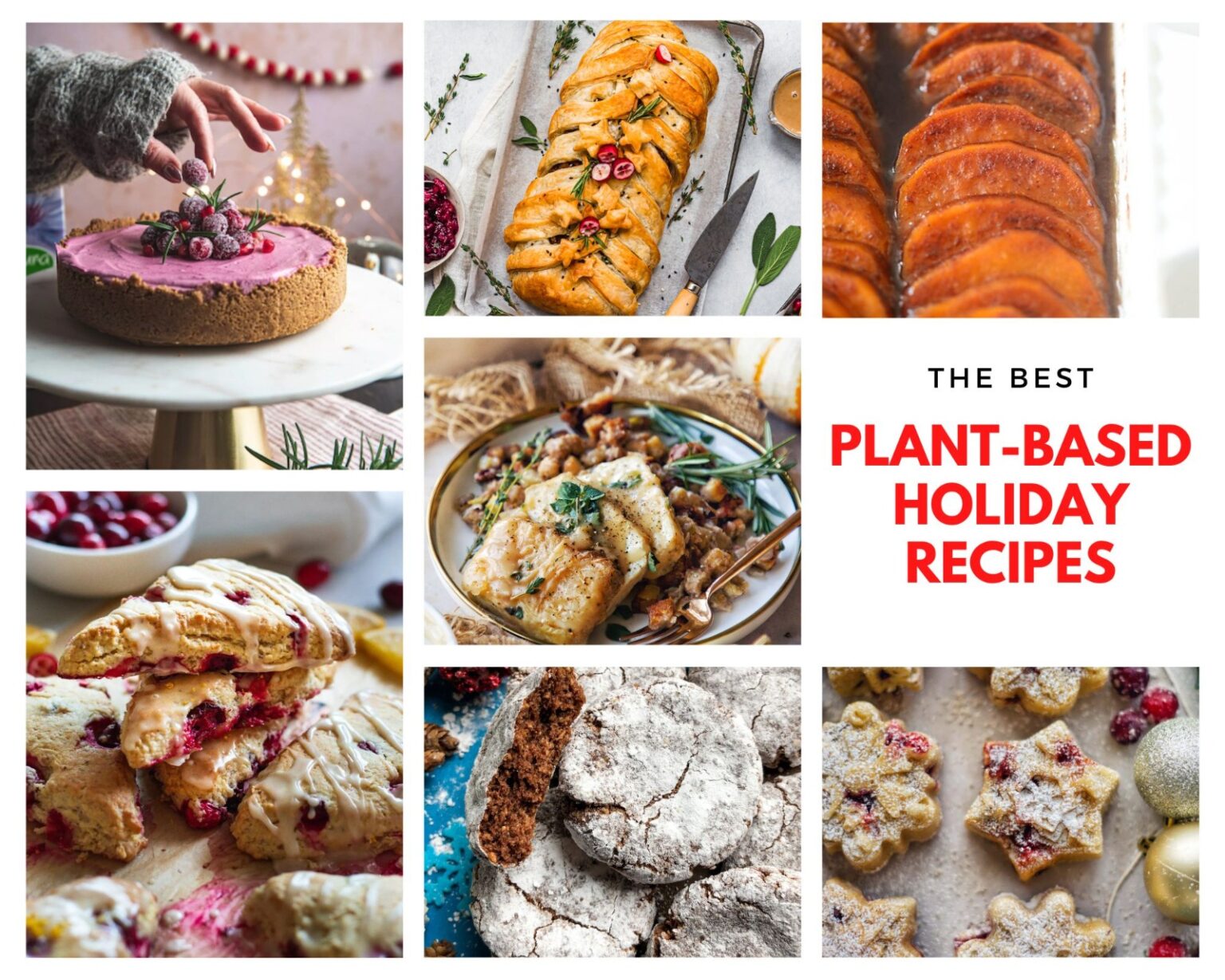 55 Plant Based Holiday Recipes BetterFoodGuru
