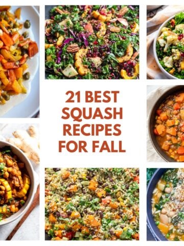 Collage of Fall Squash Recipes in a grid with 7 recipes displayed