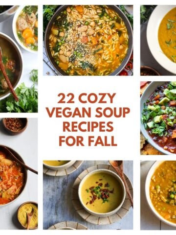 Visual grid of 7 Fall soup recipes