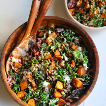 butternut squash, tempeh, kale and radichhio