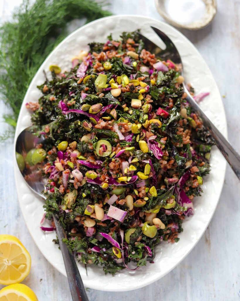 Overhead view of a big platter of kale and rice salad, there are purple bits of cabbage and radishes, chopped green olives, beans and pistachios visible.